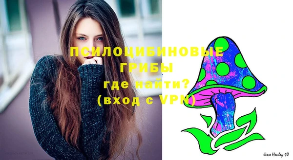 apvp Балахна