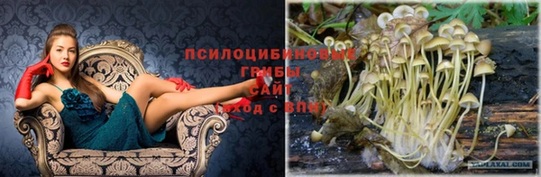 apvp Балахна