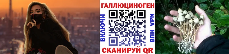 Галлюциногенные грибы прущие грибы Голицыно