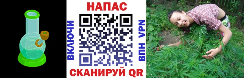 Бошки марихуана марихуана Голицыно